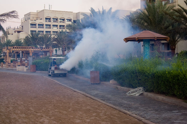 Aqaba_26