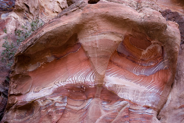 Petra_110