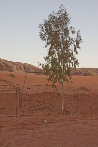 Wadi_Rum_45